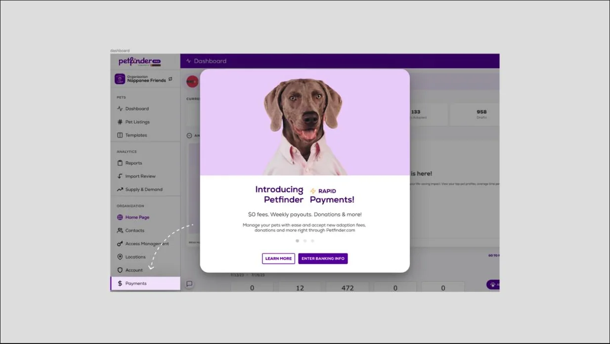 Petfinder payments dashboard