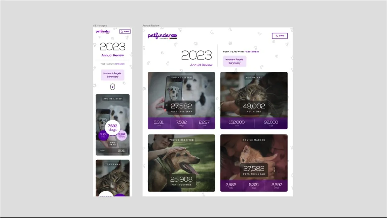 Petfinder annual review experience